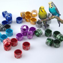 Parrot rings (aluminium), 4.5mm