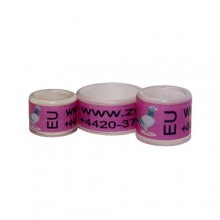 RING personalized PLASTIC color PURPLE