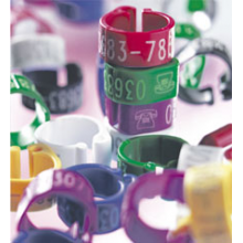 Clip rings with phone number