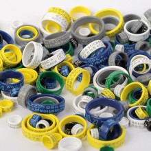 PIGEON RING personalized PLASTIC laser engraved, 8mm