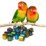 Rings for parrots, budgie
