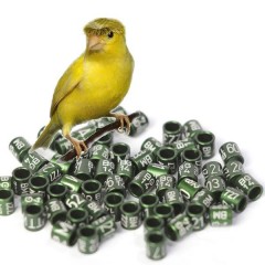 Canary rings (aluminium), 3.2mm
